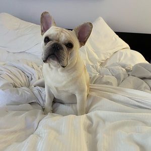 Meet your Posher, Barbara